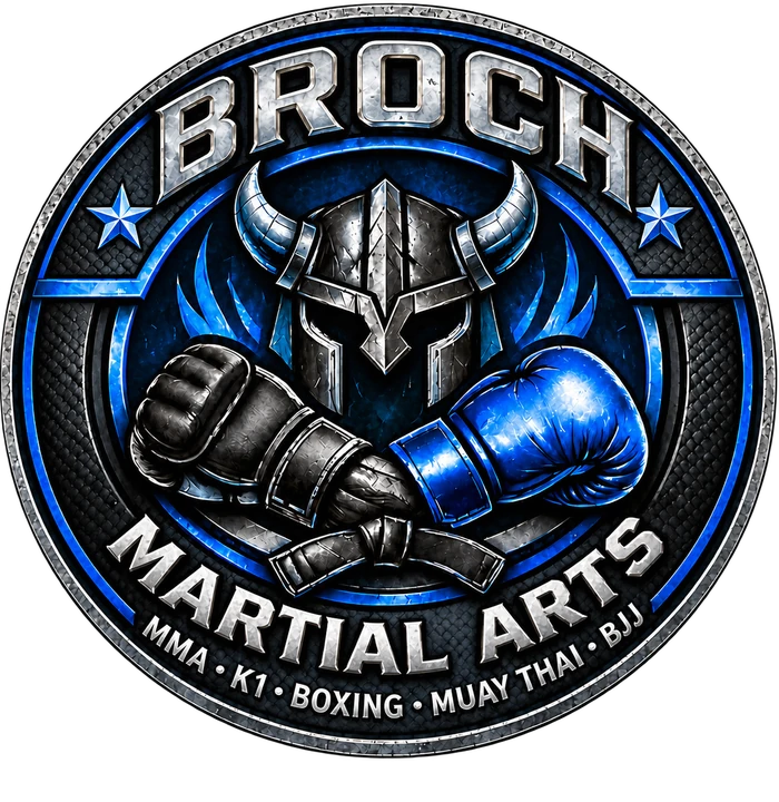Broch Martial Arts Viking helmet and boxing gloves logo